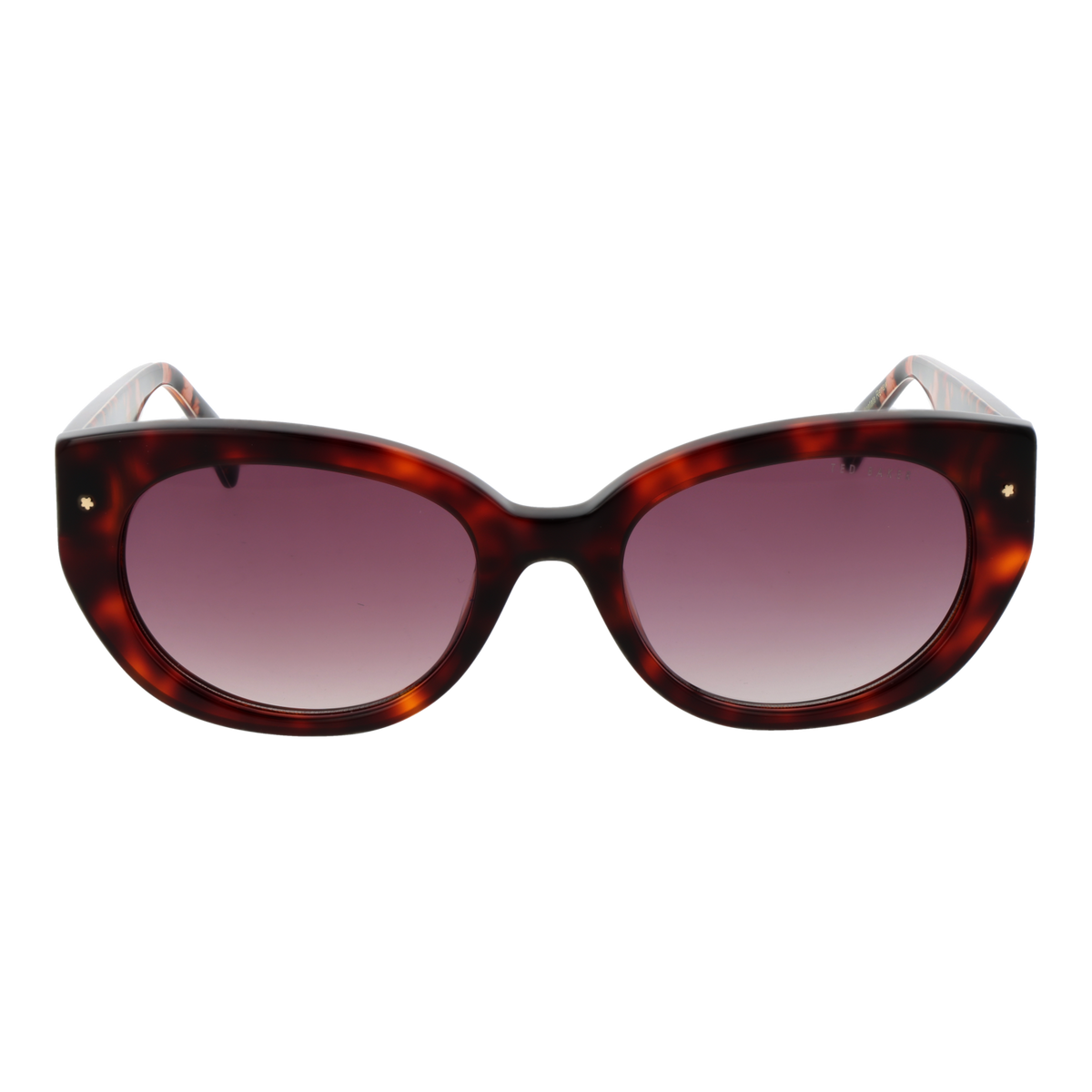 Ted Baker TB1737 100 zonnebril