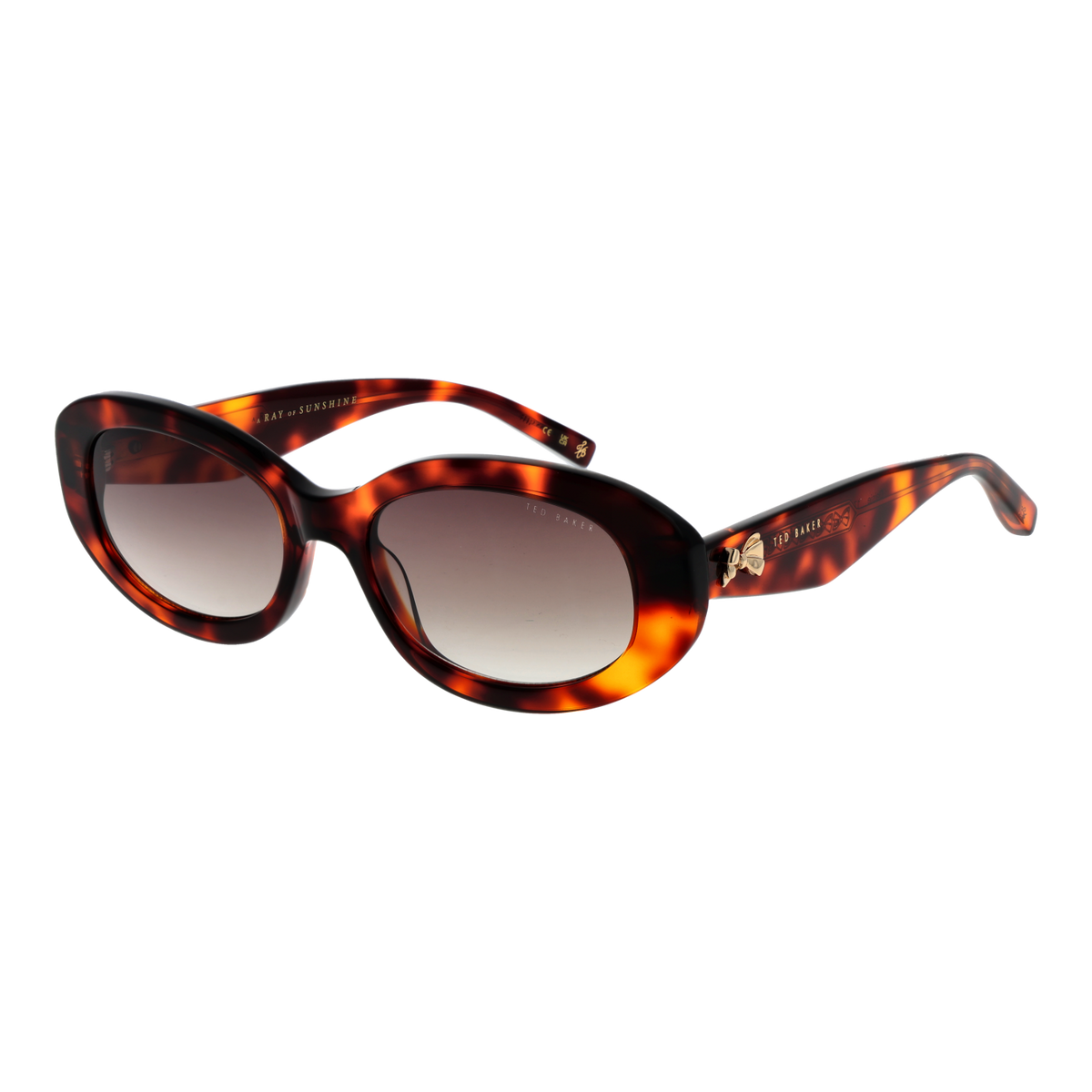 Ted Baker TB1758 100 zonnebril
