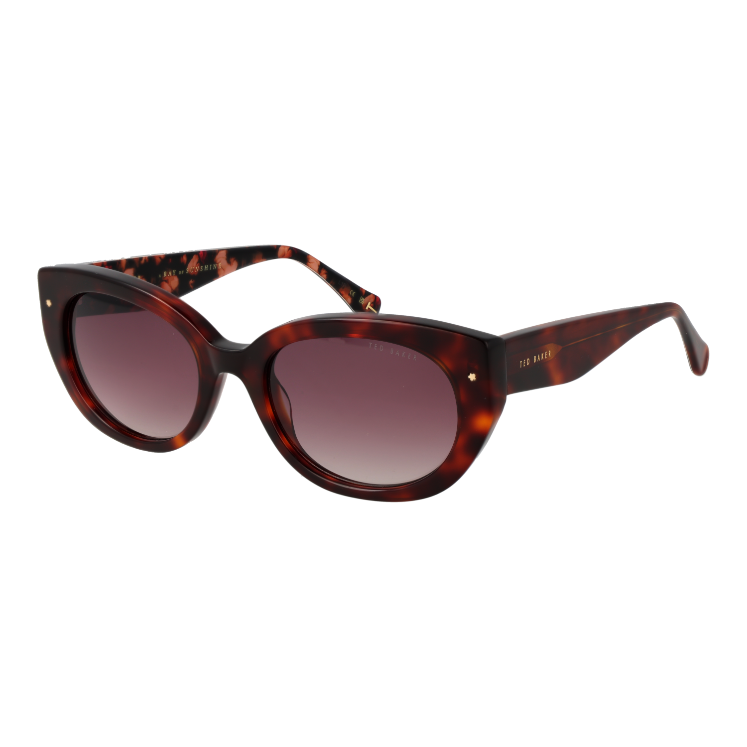 Ted Baker TB1737 100 zonnebril