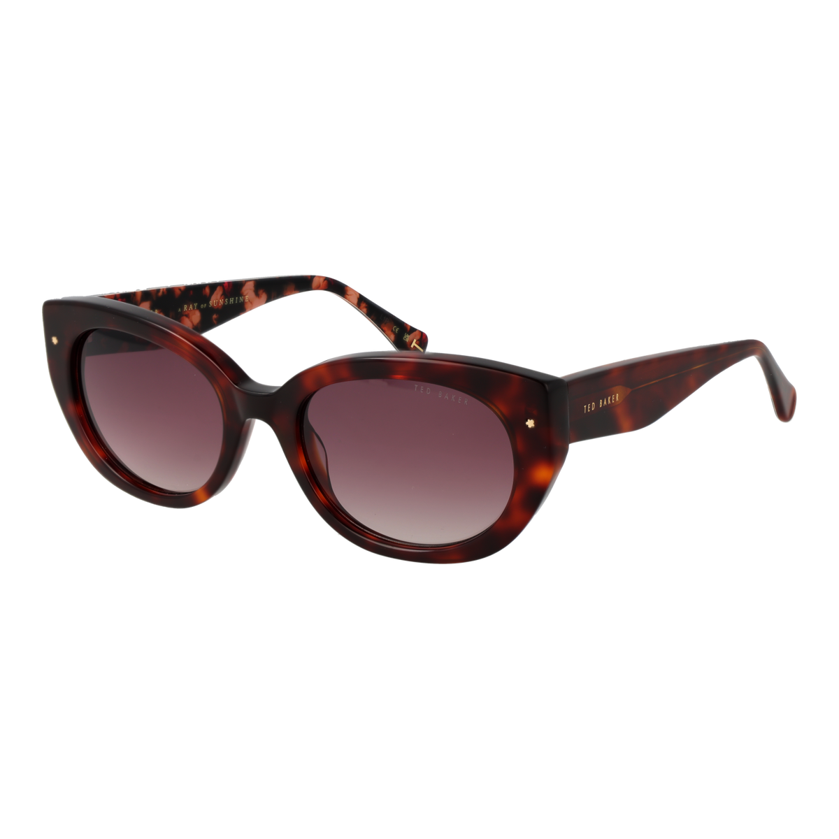 Ted Baker TB1737 100 zonnebril