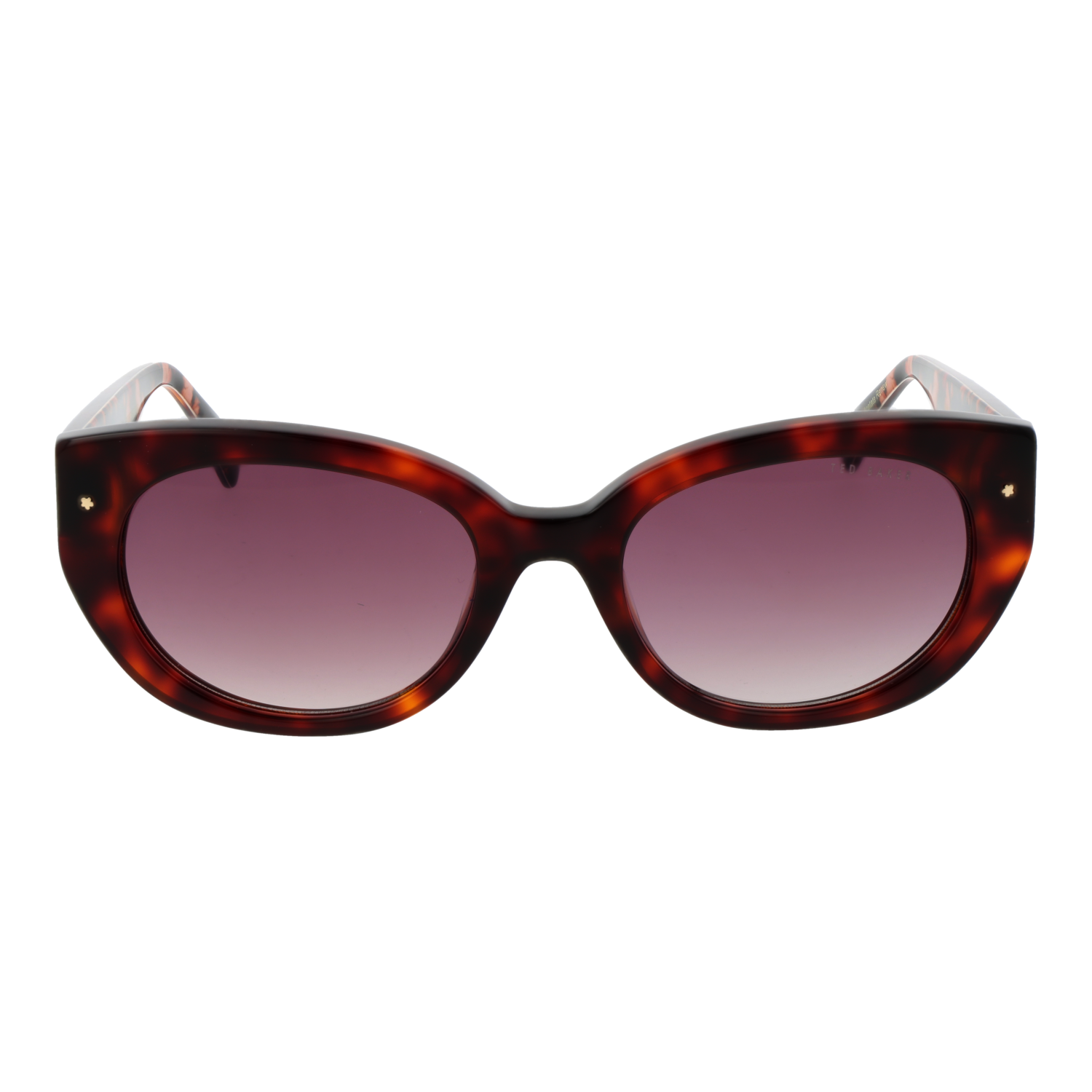 Ted Baker TB1737 100 zonnebril